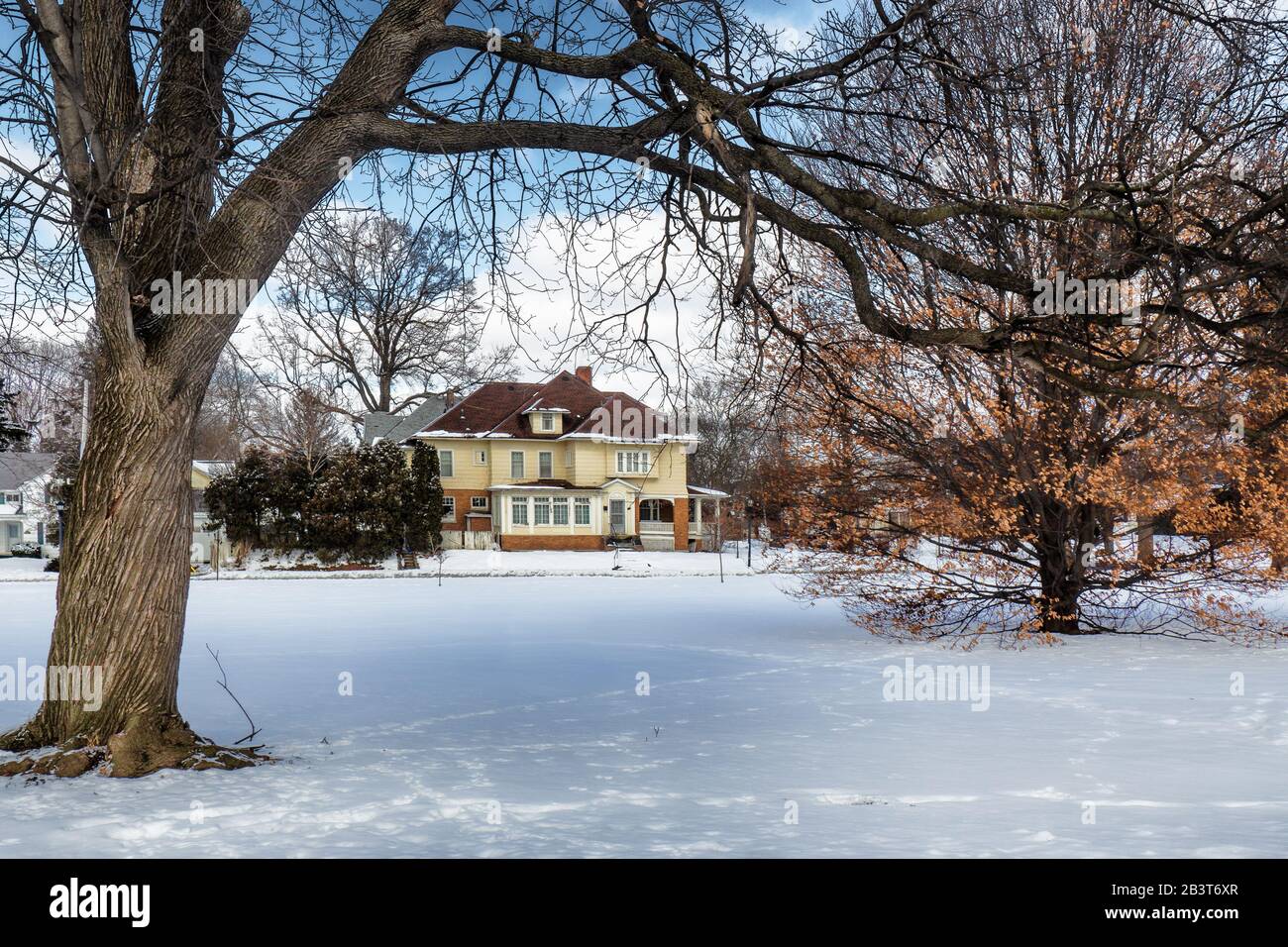 Alberi in un piccolo parco di quartiere con casa in background nel wintertime Foto Stock