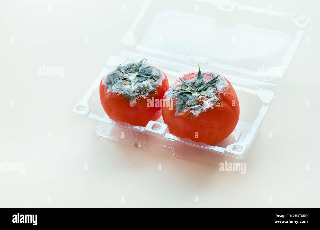 Fuoco selettivo di muffa su pomodoro rosso.prodotto di rotten, vegetale guastato.sviluppo sano di food.product. Foto Stock