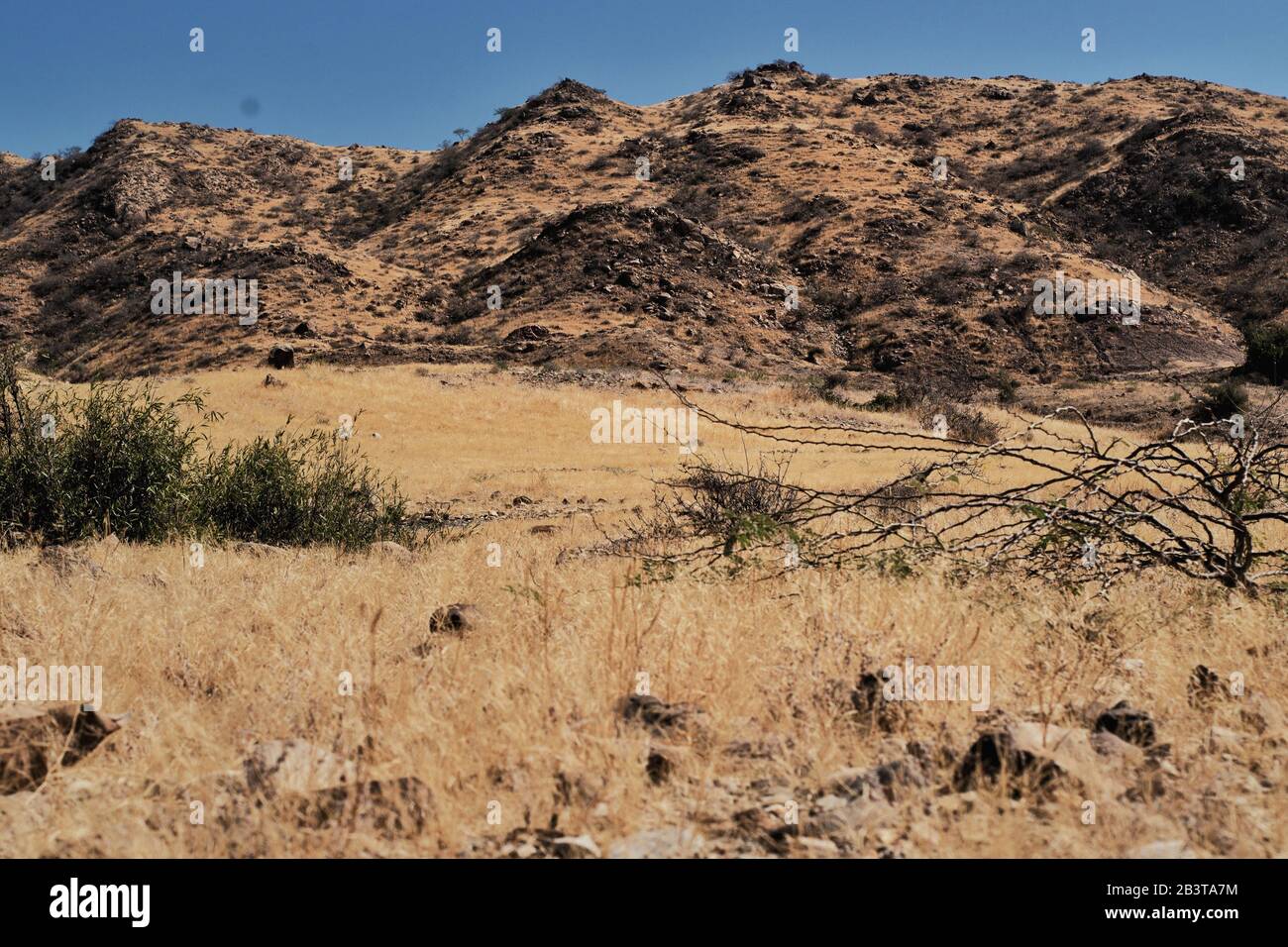 Mi piace viaggiare per la fotografia paesaggistica del nord aria Foto Stock