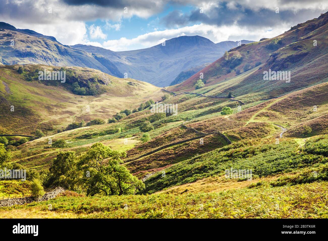 Vista di Borrowdale nel Parco Nazionale del Distretto dei Laghi, Cumbria. Foto Stock