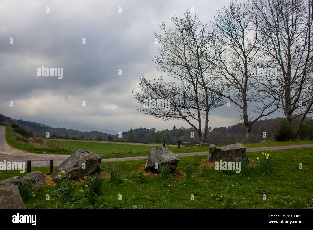 Vista di un campo appena fuori Craigellachie, in Scozia, su un freddo, rovesciate la mattina della primavera Foto Stock