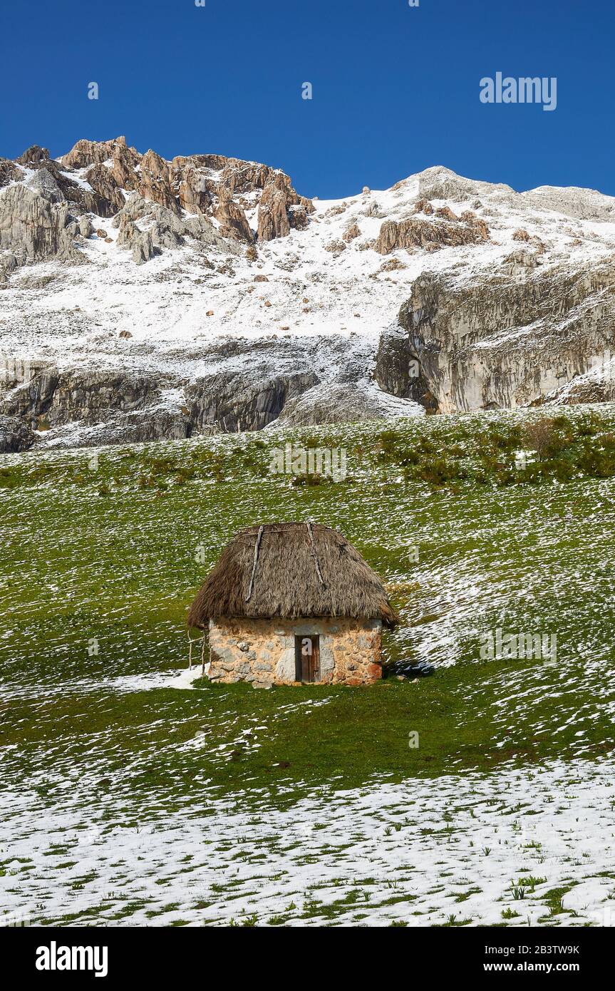 Teito, tradizionale dimora in pietra con tetto di paglia, con montagne innevate sullo sfondo (Valle del Lago, Parco Naturale Somiedo, Asturie, Spagna) Foto Stock