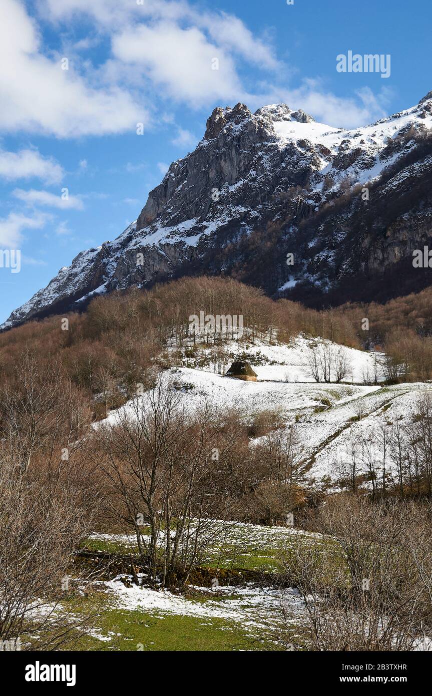 Teito, tradizionale dimora in pietra con tetto di paglia, e montagne innevate sullo sfondo (Valle del Lago, Parco Naturale Somiedo, Asturie, Spagna) Foto Stock