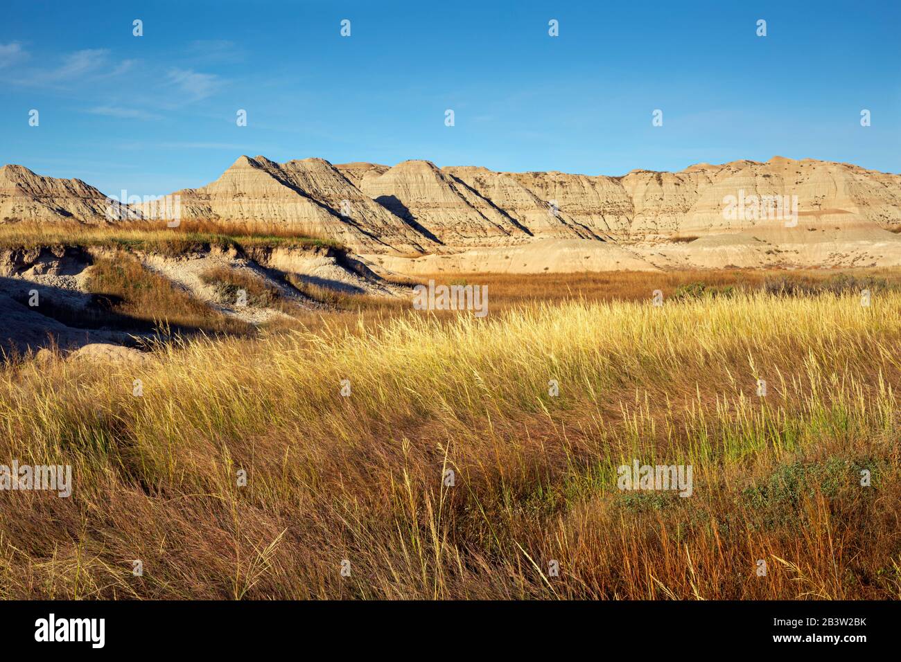 SD00279-00...SOUTH DAKOTA - ampio prato e accesso alla zona Badlands Wilderness situato nella zona picnic di Conata nel Badlands National Park. Foto Stock