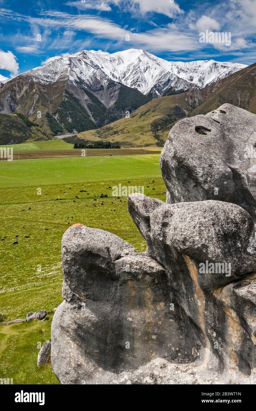 Castello Hill Rocce Calcaree, Kura Tawhiti Conservazione Area, Torlesse Range In Dist, Alpi Del Sud, Canterbury Regione, Isola Del Sud, Nuova Zelanda Foto Stock