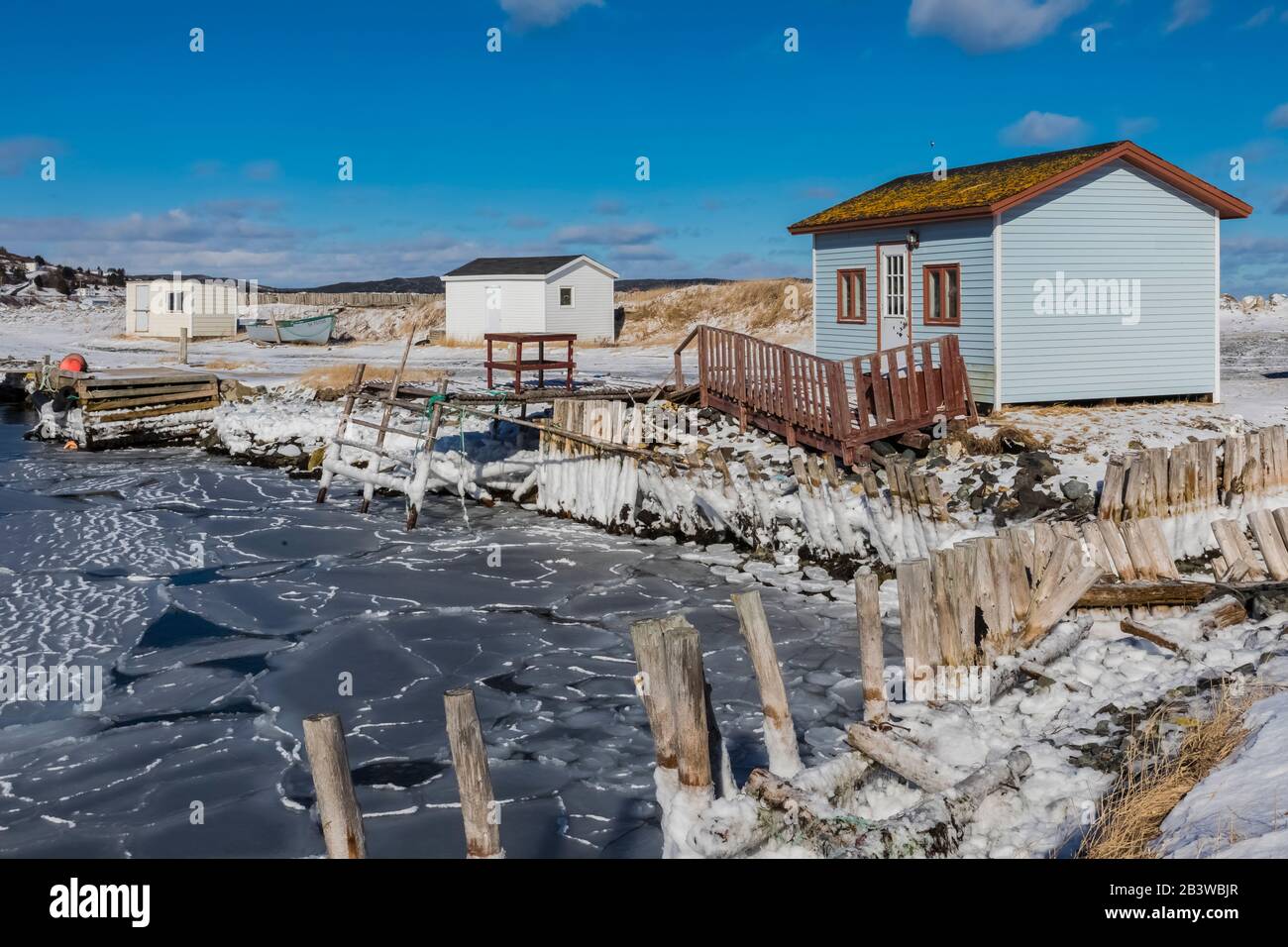 Tappa lungo la riva della baia a Ferryland, Terranova, Canada [Nessuna cessione di proprietà; licenza solo per usi editoriali] Foto Stock