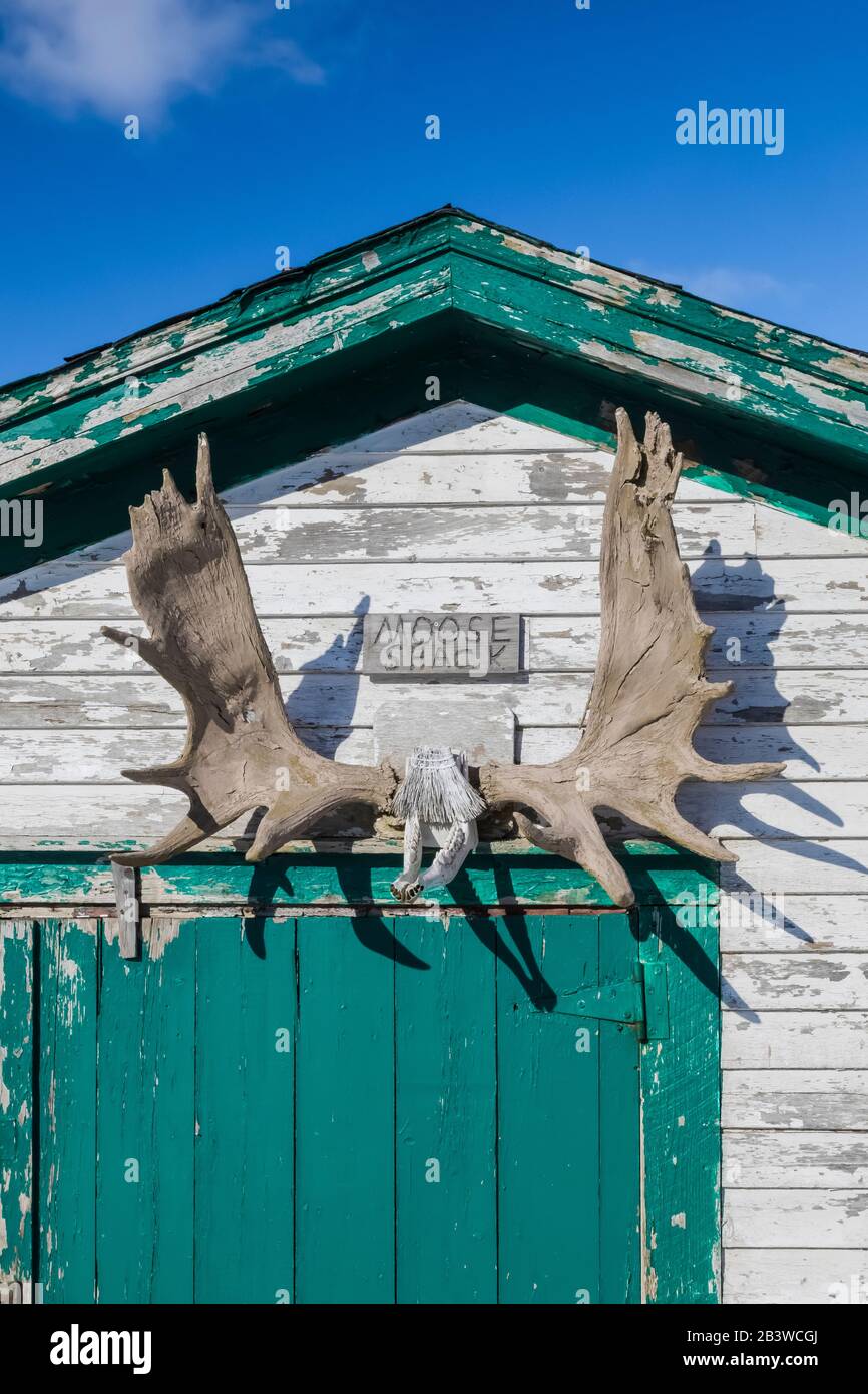 Moose antlers che decorano una fase in cui l'attrezzatura da pesca è conservata a Ferryland, Terranova, Canada [Nessun rilascio di proprietà; licenza per usi editoriali Foto Stock