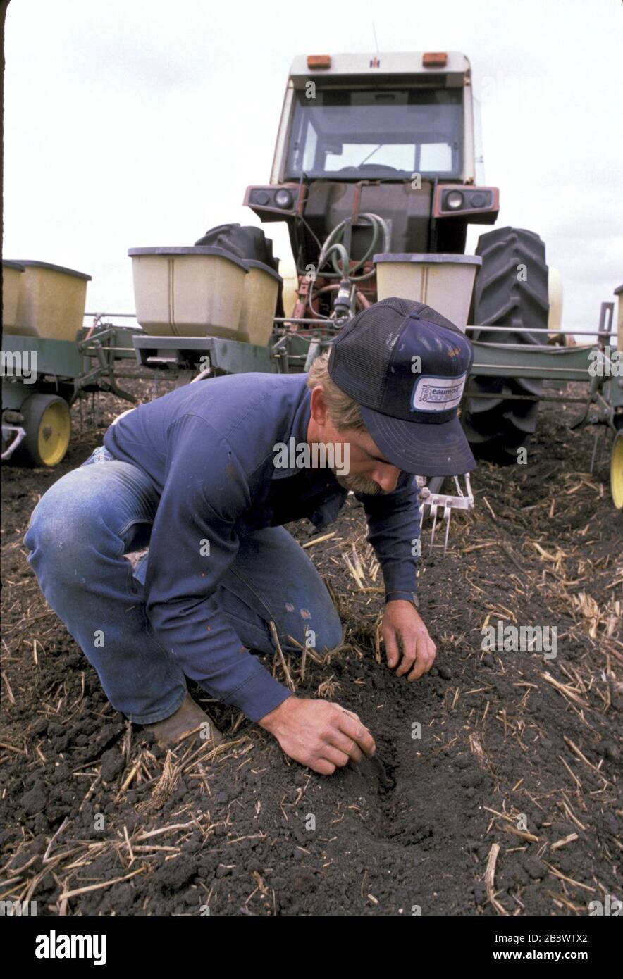 Stati Uniti del Texas del sud: Coltivatore che controlla le piantagioni di semi di cotone vicino a Victoria Texas. ©Bob Daemmrich Foto Stock