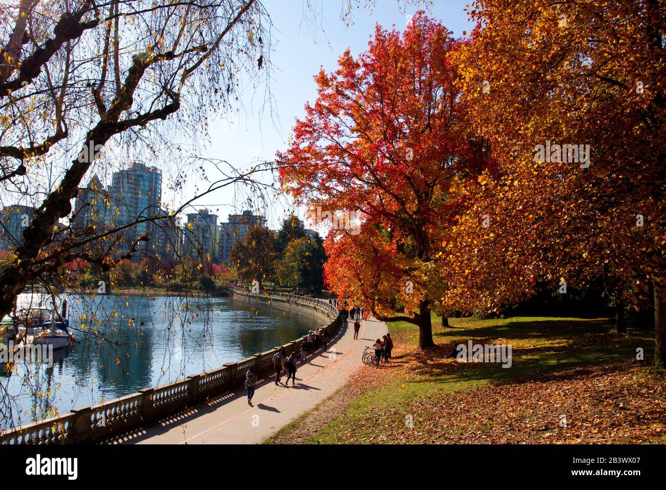 Una vista panoramica dei colori autunnali lungo le mura del mare a Stanley Park, Vancouver, BC, Canada Foto Stock