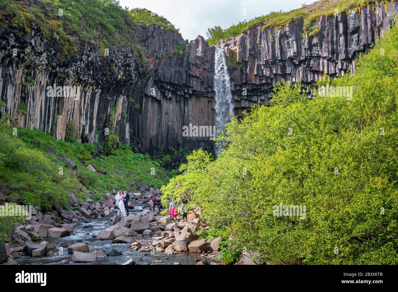 Cerimonia nuziale turistica presso la cascata Svartifoss con colonne di basalto nero nel sud dell'Islanda Foto Stock