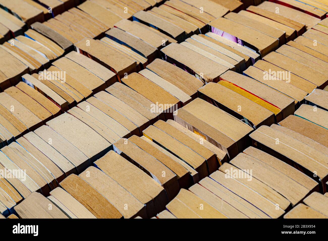 Alte Bücher auf einem Flohmarkt a Parigi Foto Stock
