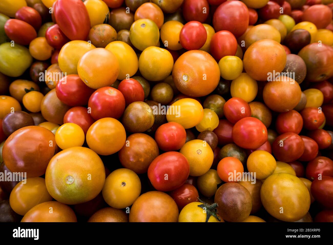 Pomodori Ciliegio colorati al mercato in California Foto Stock