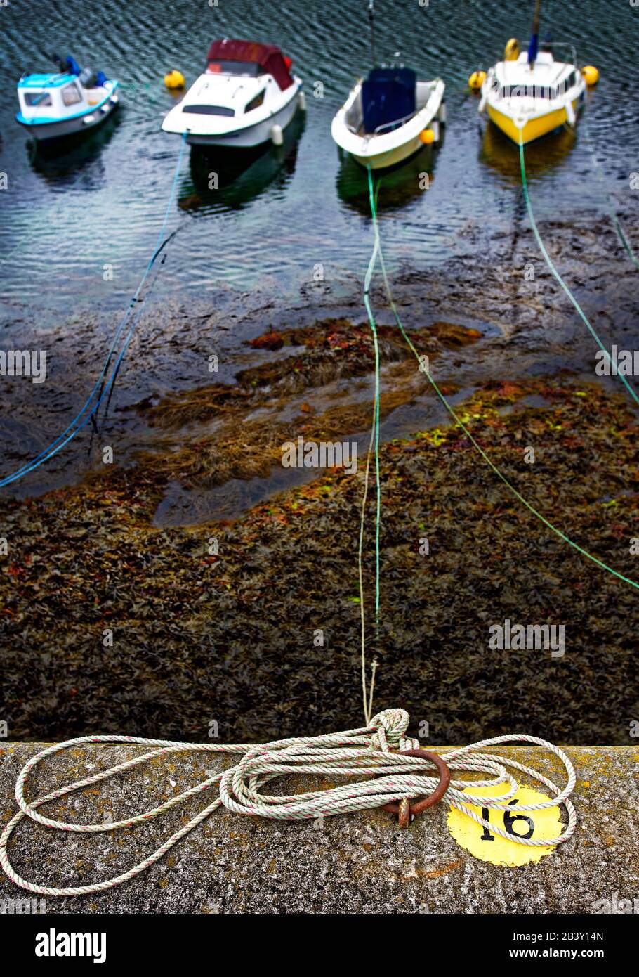 Mevagissey il cui nome in Cornovaglia è Lannvorek, è un villaggio e porto di pescatori e parrocchia civile in Cornovaglia, Inghilterra. Foto Stock
