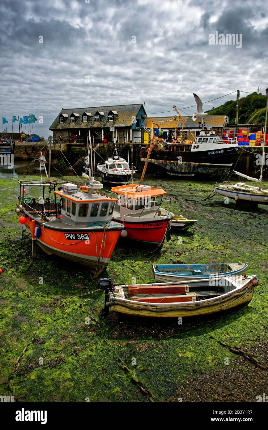 Mevagissey il cui nome in Cornovaglia è Lannvorek, è un villaggio e porto di pescatori e parrocchia civile in Cornovaglia, Inghilterra. Foto Stock