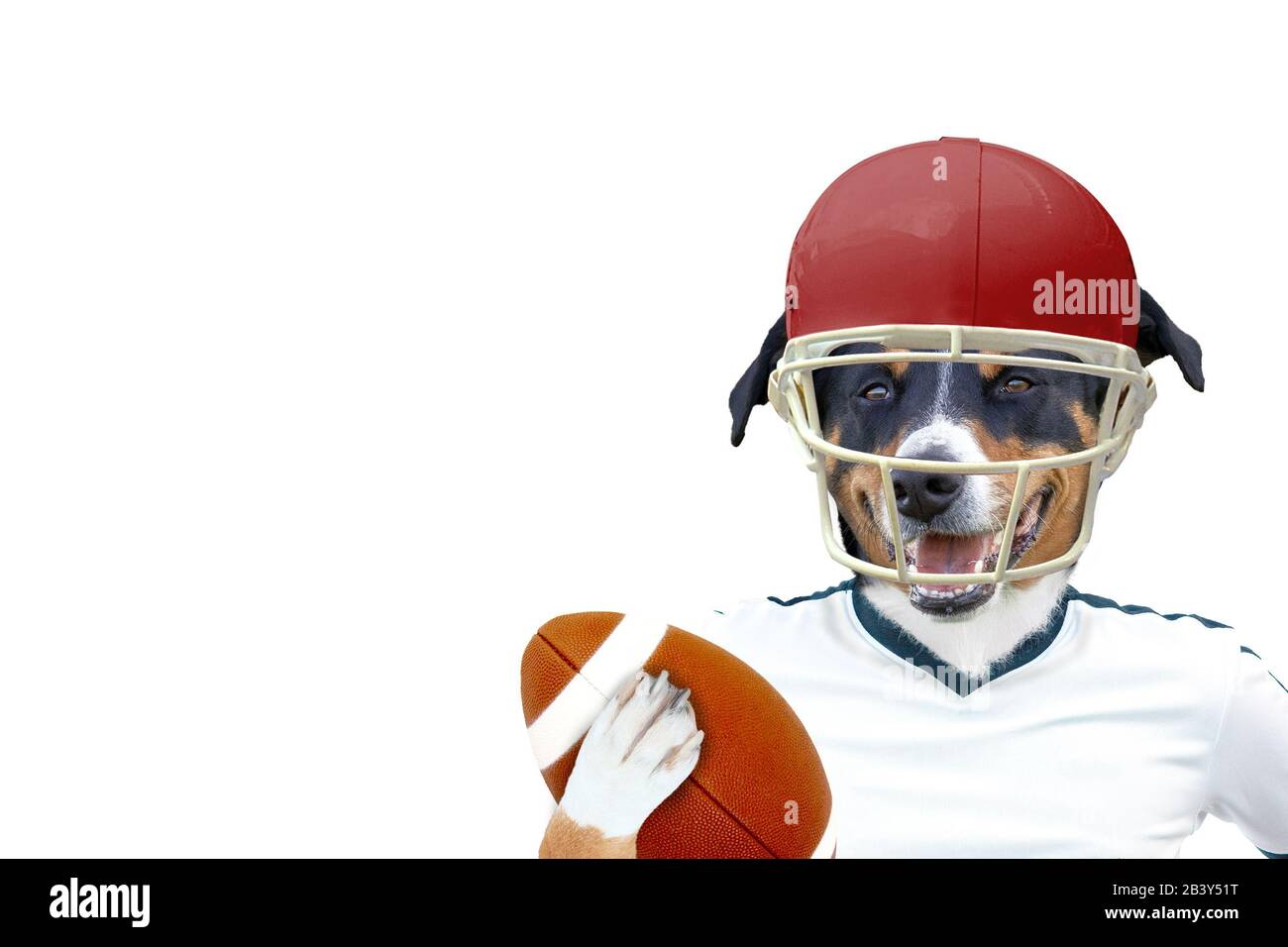 divertente cane da rugby americano Foto Stock