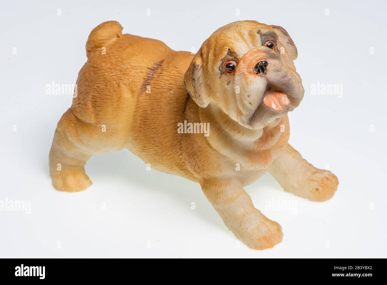 Miniatura raffigurante un cane inglese di razza Bulldog su sfondo bianco Foto Stock