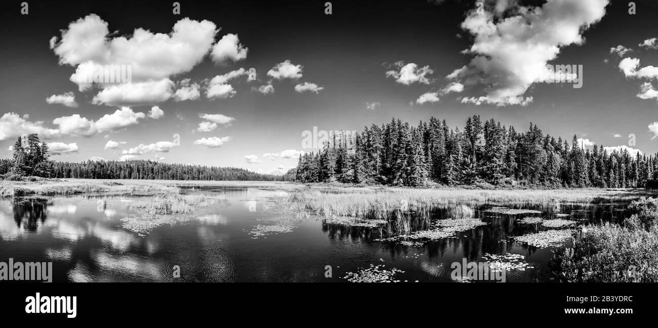 Specchio monocromo lago riflessi di nuvole e paesaggio forestale. Ontario, Canada. Foto Stock