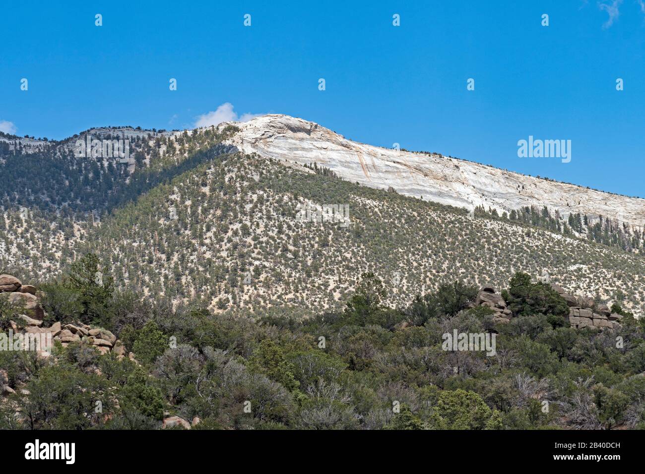 Vette di granito che si innalzi sopra il deserto sul percorso del Serviceberry nel Parco Nazionale del Great Basin in in Nevada Foto Stock