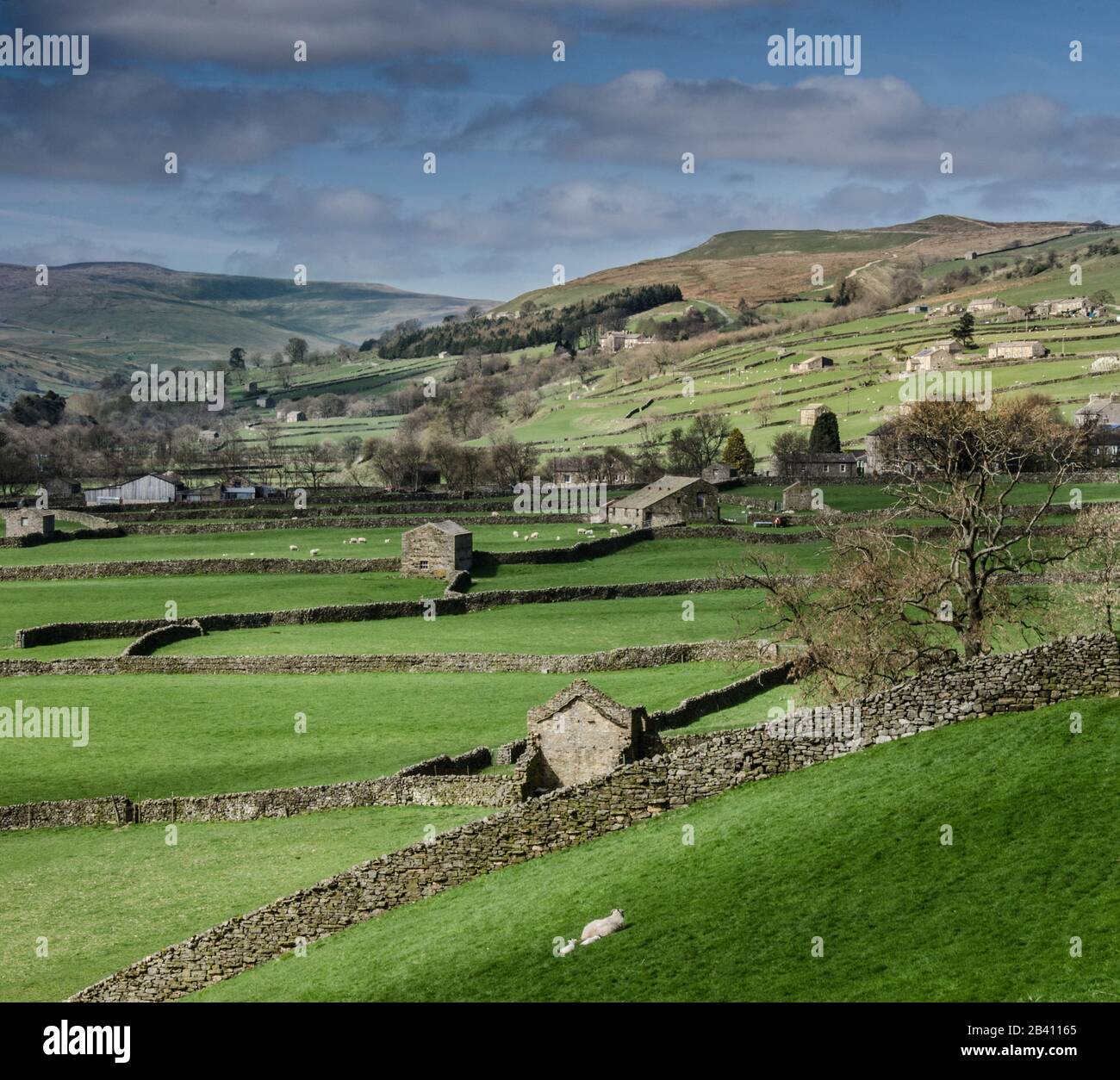 Le Yorkshire Dales Foto Stock