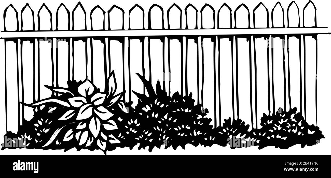 Picket Fence Con Fiori E Scrub Vector Illustration Illustrazione Vettoriale