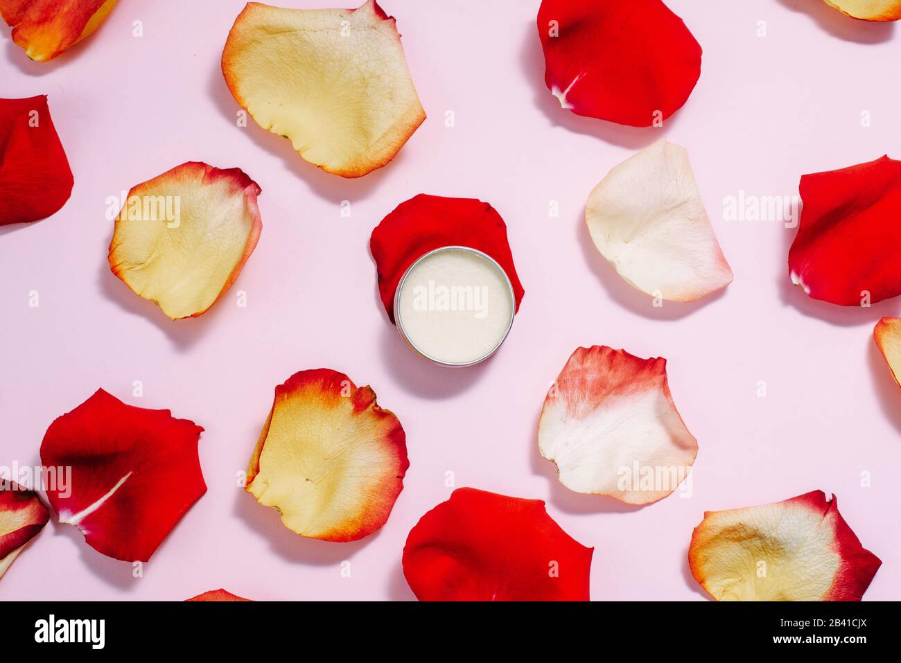 Balsamo idratante aperto su sfondo pastello rosa tra petali di rosa rosso e arancione. Il concetto di cura della pelle, cura anti-invecchiamento, ingredienti naturali in cos Foto Stock