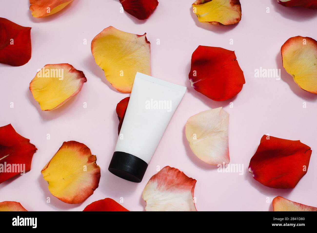 Tuba con crema idratante su sfondo pastello rosa tra petali di rosa rosso e arancione. Il concetto di cura della pelle, cura anti-invecchiamento, ingredienti naturali in cos Foto Stock