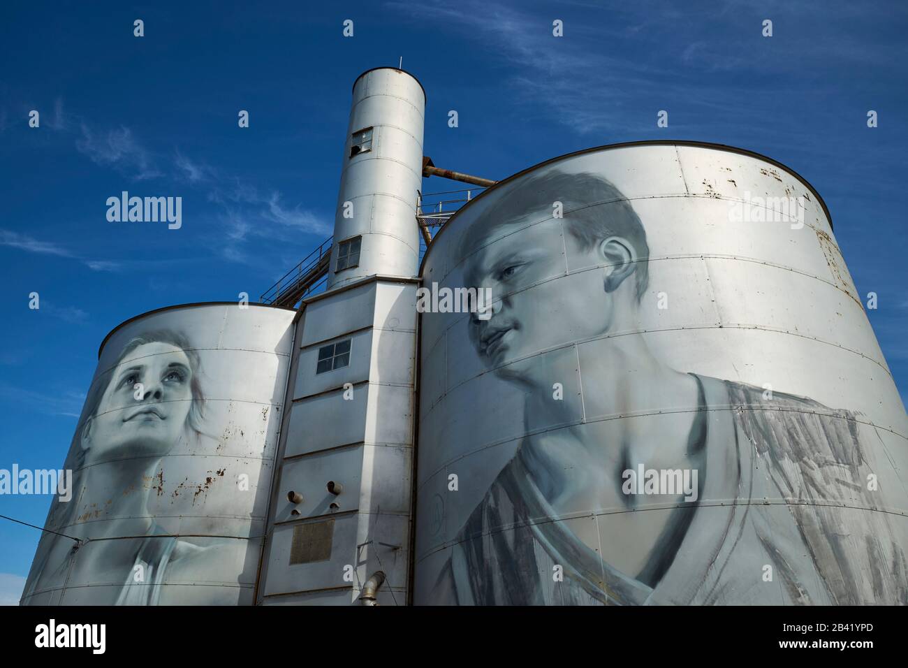 Murale del sentiero dell'arte del silo, dipinto dall'artista russo Julia Volchkova. Raffigura i giovani locali. A Rupanyup, Victoria, Australia. Foto Stock