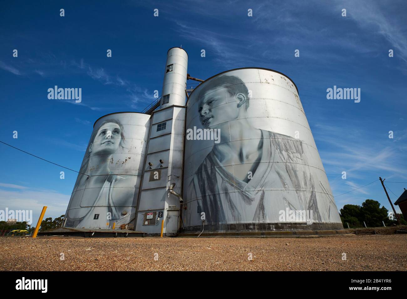 Murale del sentiero dell'arte del silo, dipinto dall'artista russo Julia Volchkova. Raffigura i giovani locali. A Rupanyup, Victoria, Australia. Foto Stock