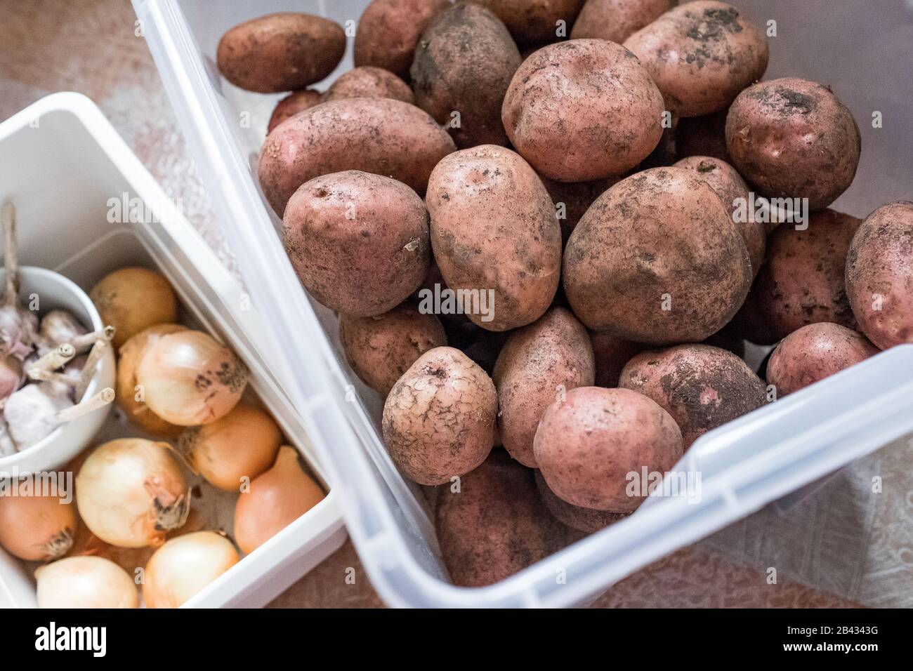 Patate, cipolle, aglio in contenitori in cucina. Mantenere verdure pulite nella casa Foto Stock