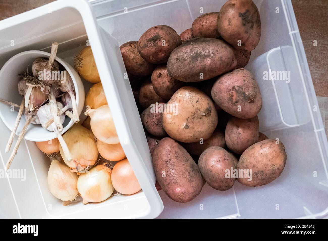 Patate, cipolle, aglio in contenitori in cucina. Mantenere verdure pulite nella casa Foto Stock