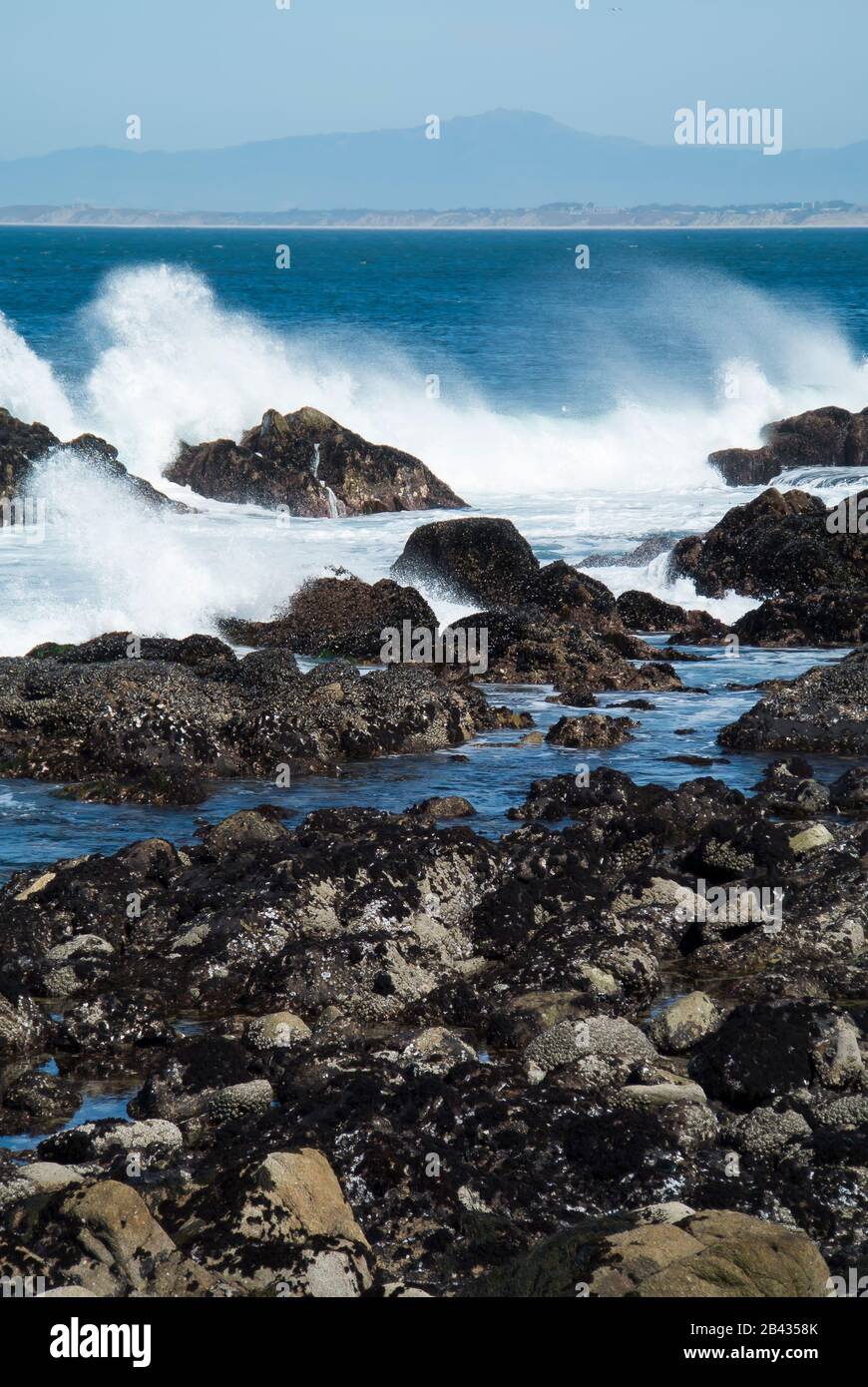 Pacific Ocean Shoreline, Pacific Grove, California Foto Stock