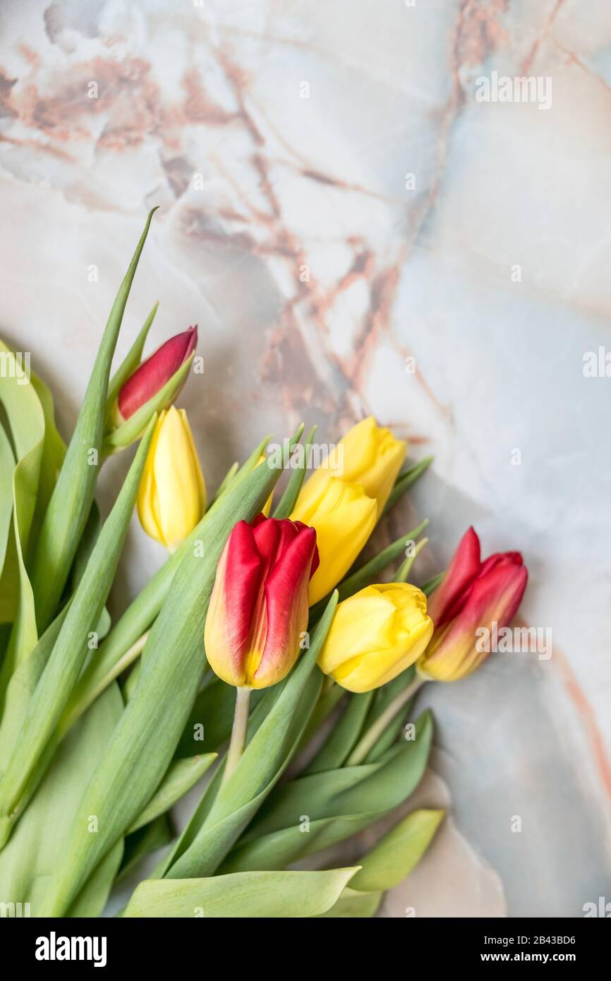 Bei tulipani per la Festa della mamma su sfondo di marmo, vista dall'alto. Giornata Internazionale delle Donne. Bouquet di bei tulipani primaverili. Tulipano fresco e colorato Foto Stock