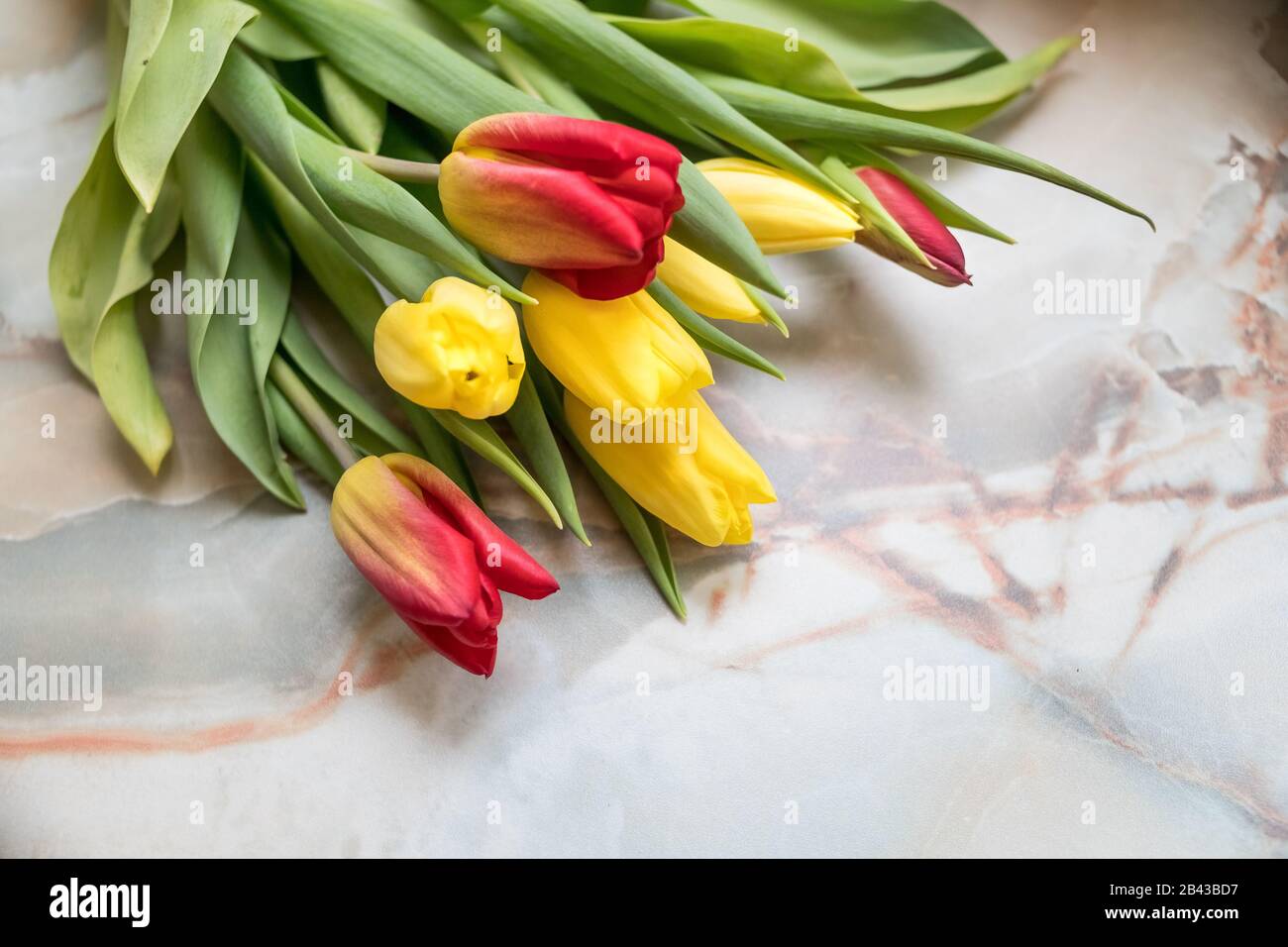 Bei tulipani per la Festa della mamma su sfondo di marmo, vista laterale.Giornata Internazionale delle Donne.bouquet di bei tulipani primaverili. Tulipano fresco e colorato Foto Stock