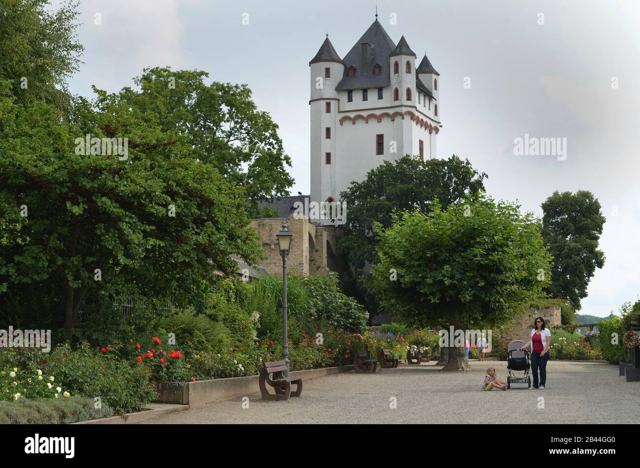 Burg, Eltville, Hessen, Deutschland Foto Stock