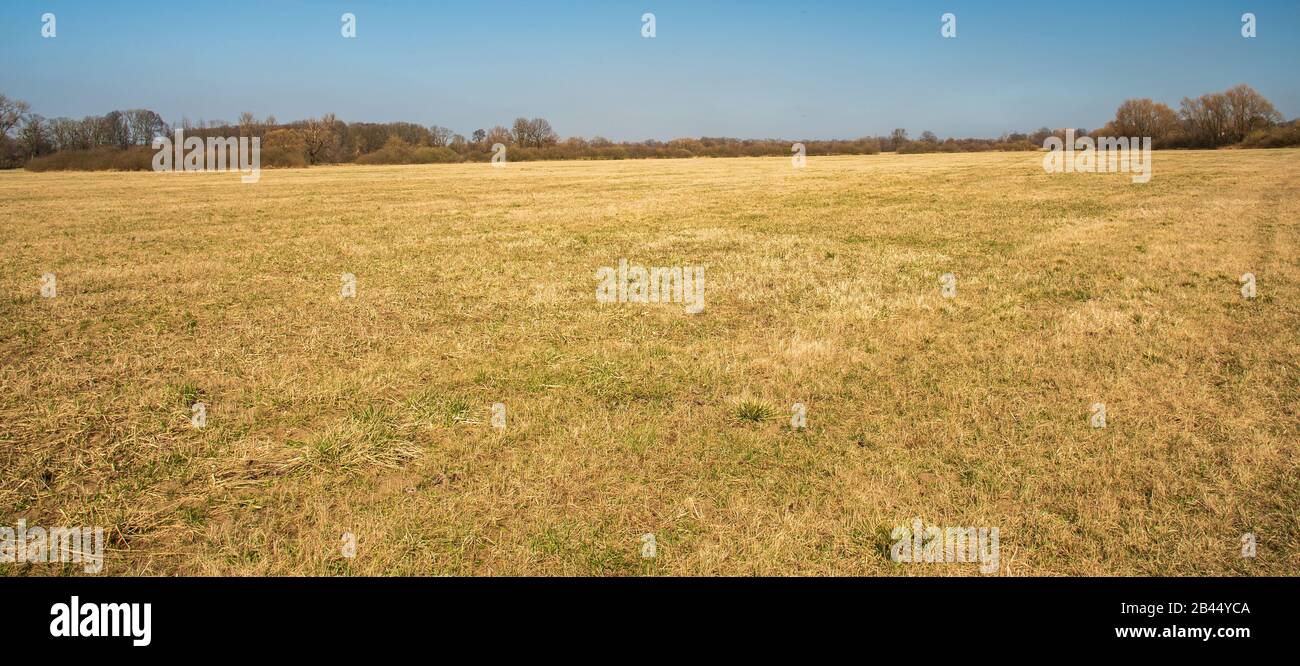 Primo prato primaverile con foresta intorno e cielo libero in ChKO Poodri vicino al villaggio Petrvaldik in repubblica Ceca Foto Stock