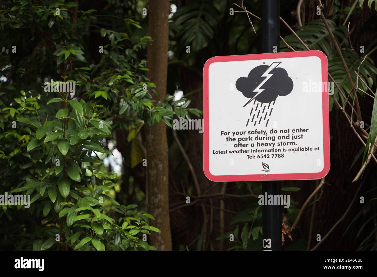 Attenzione a Thunderstorm, Henderson Waves Bridge, Singapore Foto Stock