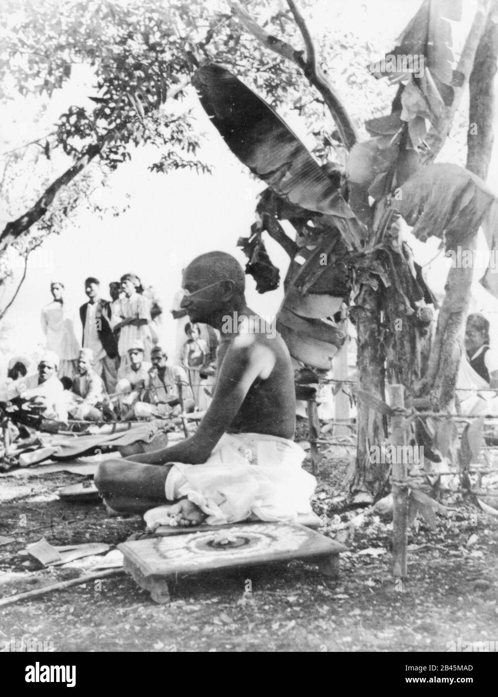 Mahatma Gandhi seduto sotto la banana albero, India, 1940, vecchia immagine del 1900 vintage Foto Stock