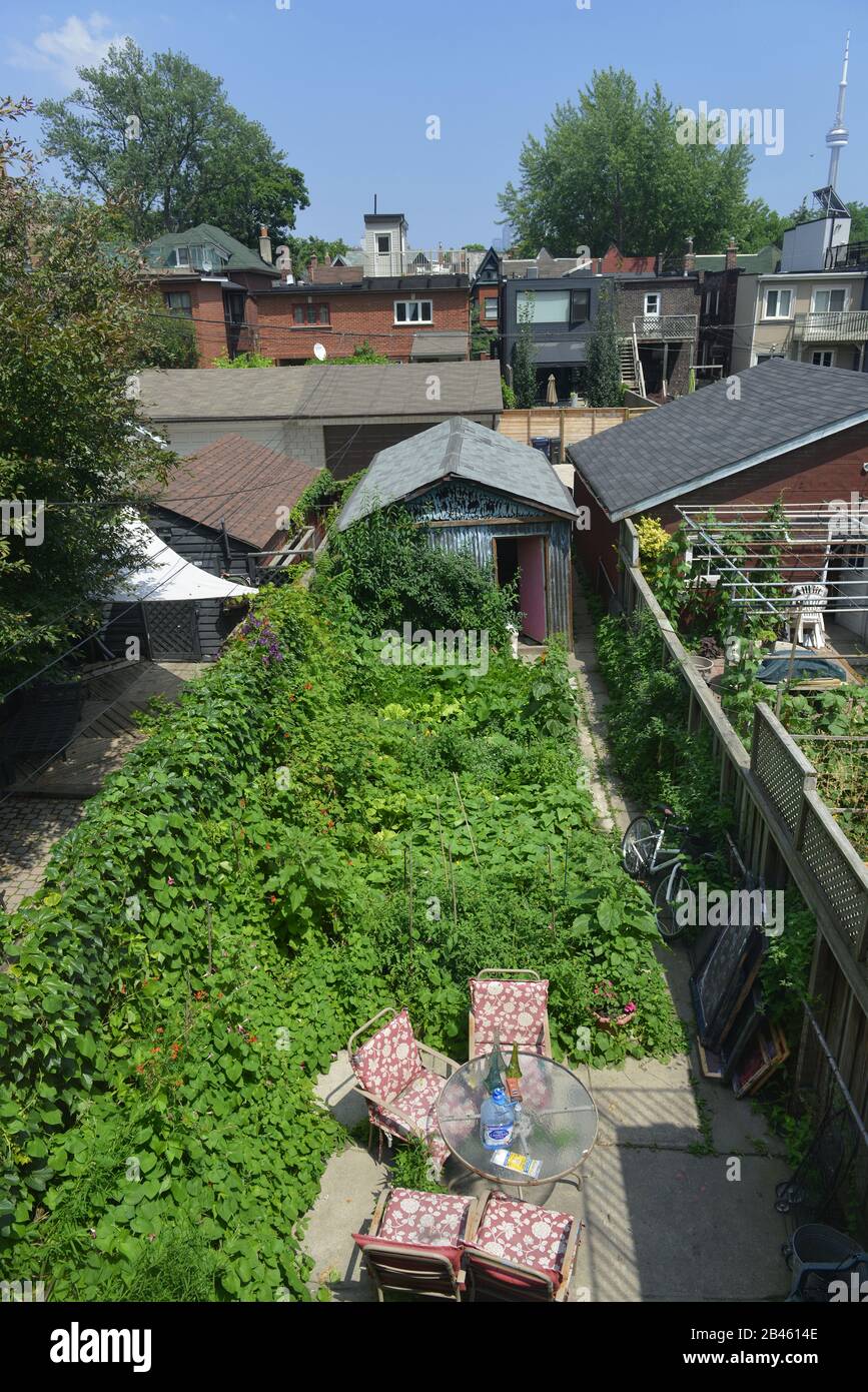 Garten, Shaw Street, Toronto, Ontario, Kanada Foto Stock