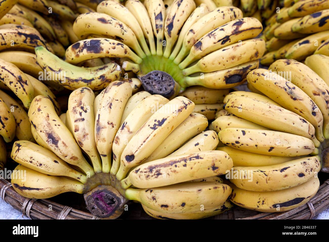 Grappoli di banane al mercato di Zegyo, Mandalay, Myanmar Foto Stock