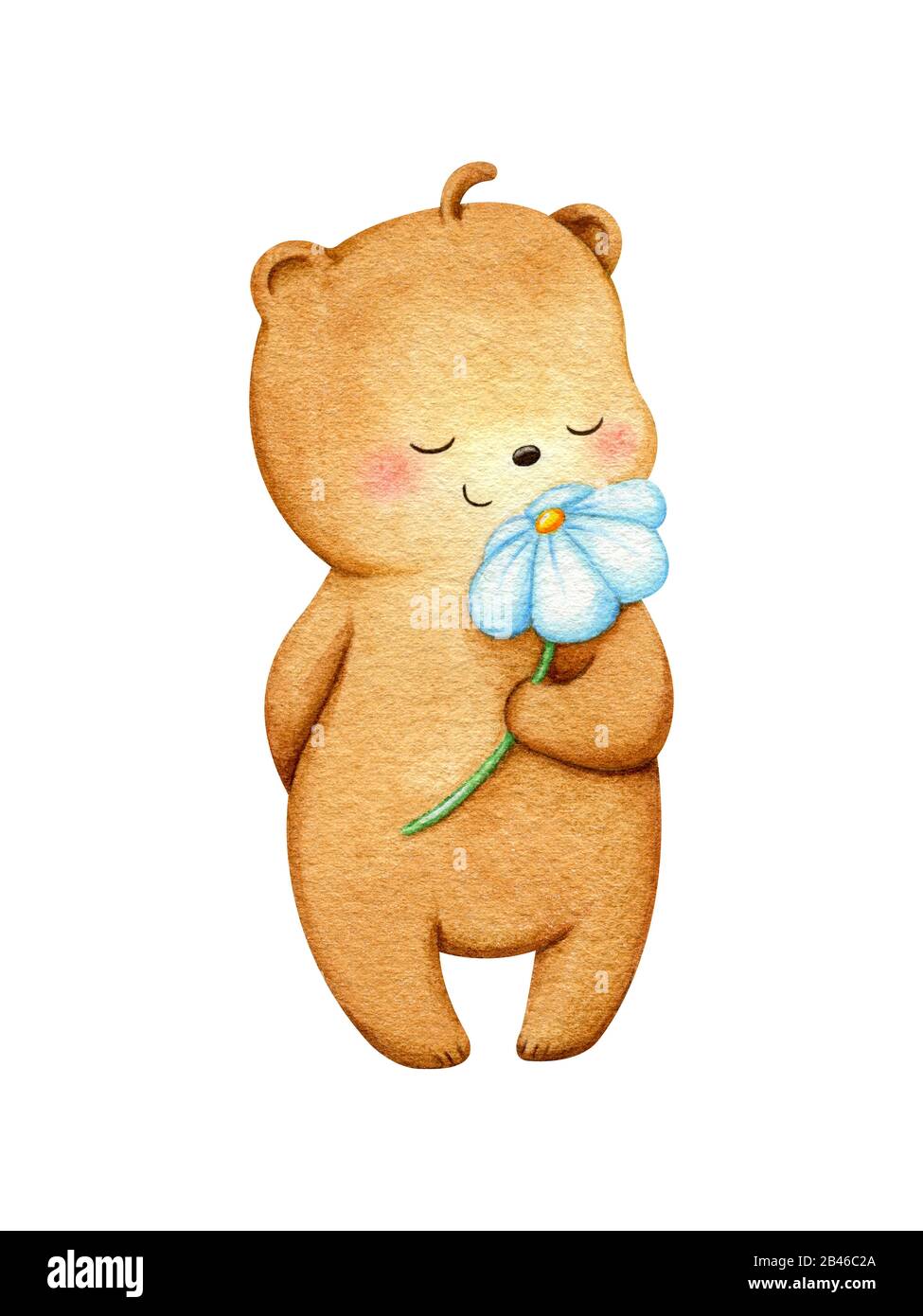 Orso carattere in piedi e odorare un fiore bianco. Cute girly grizzly illustrazione dipinta a mano in acquerello. Per stampe per bambini, design da cartolina, Foto Stock