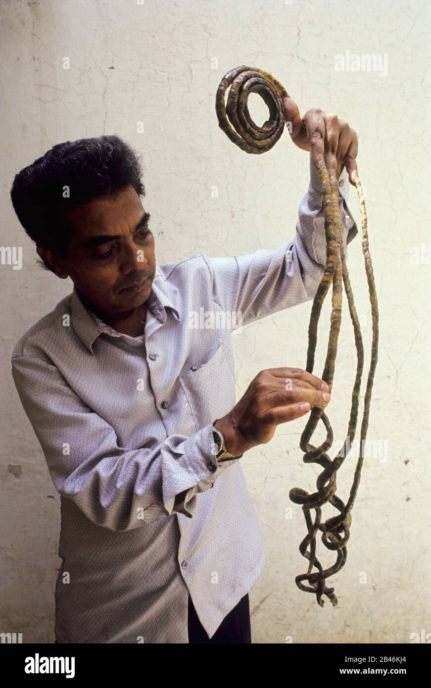 Shridhar Chillal, il più lungo record mondiale di unghie, India, Asia Foto Stock