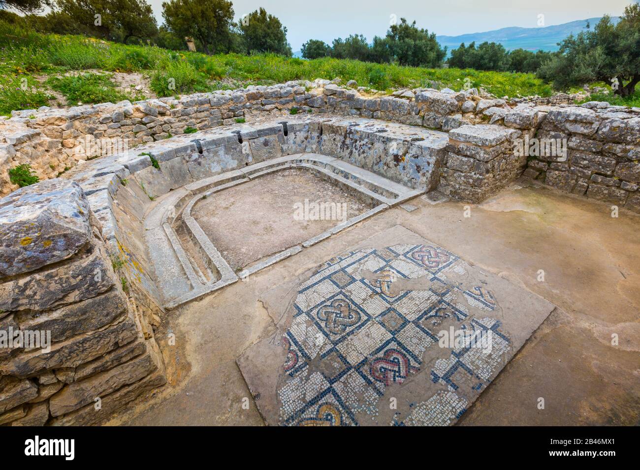 Latrine. Rovine romane della città. Tunisia. Foto Stock