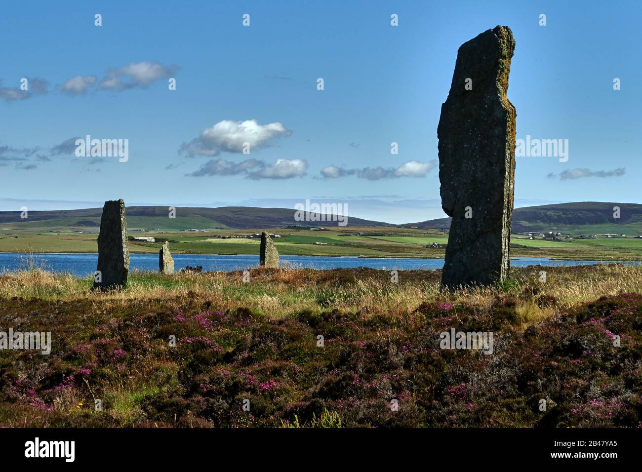 Le isole Orkney sono un arcipelago delle isole Northern Isles della Scozia, nell'Oceano Atlantico, e le sue antiche pietre erette del Ring of Brodgar nelle Isole Orkney al largo della costa settentrionale della Scozia. Questo monumento nel cuore del Neolitico Orkney, patrimonio dell'umanità, si ritiene sia stato costruito tra 4000 e 4500 anni fa. Originariamente costruito con sessanta pietre in un cerchio di oltre 100 metri di fronte, meno della metà delle pietre ancora in piedi. La più alta delle pietre è un po 'più di 4.5 metri (15 piedi) di altezza Foto Stock