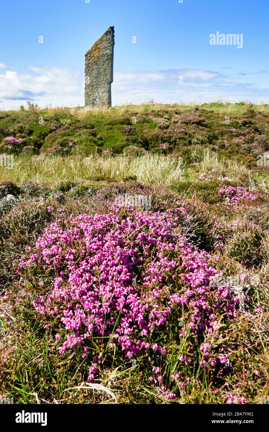 Regno Unito, Scozia, Orkney Islands è un arcipelago delle Isole del Nord della Scozia, le antiche pietre erette del Ring of Brodgar nelle Isole Orkney al largo della costa settentrionale della Scozia. Questo monumento nel cuore del Neolitico Orkney, patrimonio dell'umanità, si ritiene sia stato costruito tra 4000 e 4500 anni fa. Originariamente costruito con sessanta pietre in un cerchio di oltre 100 metri di fronte, meno della metà delle pietre ancora in piedi. La più alta delle pietre è un po 'più di 4.5 metri (15 piedi) di altezza Foto Stock