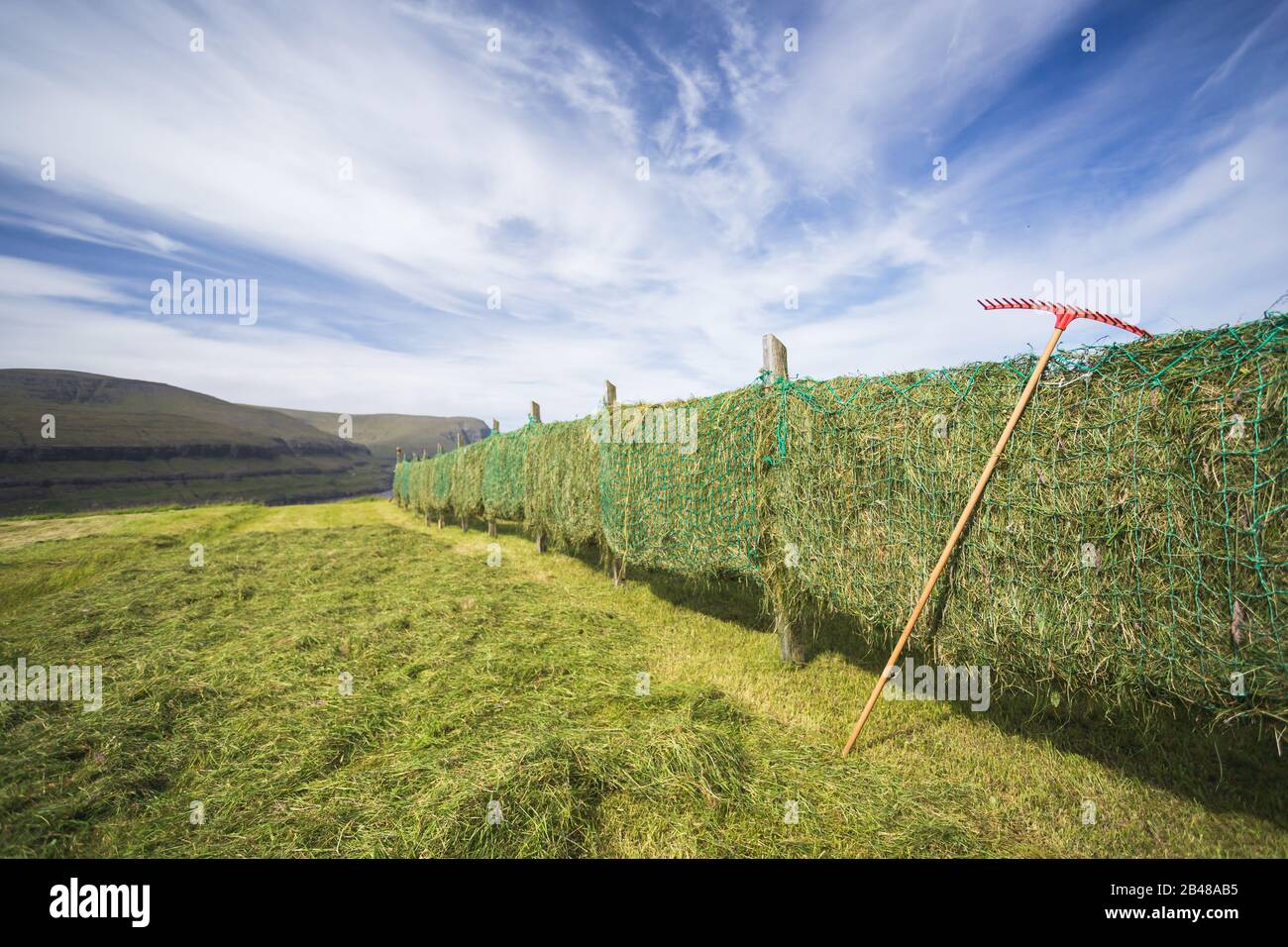 Raccolte di essiccazione erba dei prati in Múli, Bordoy isola, con Vidareidi nell isola di Vidoy dietro Foto Stock