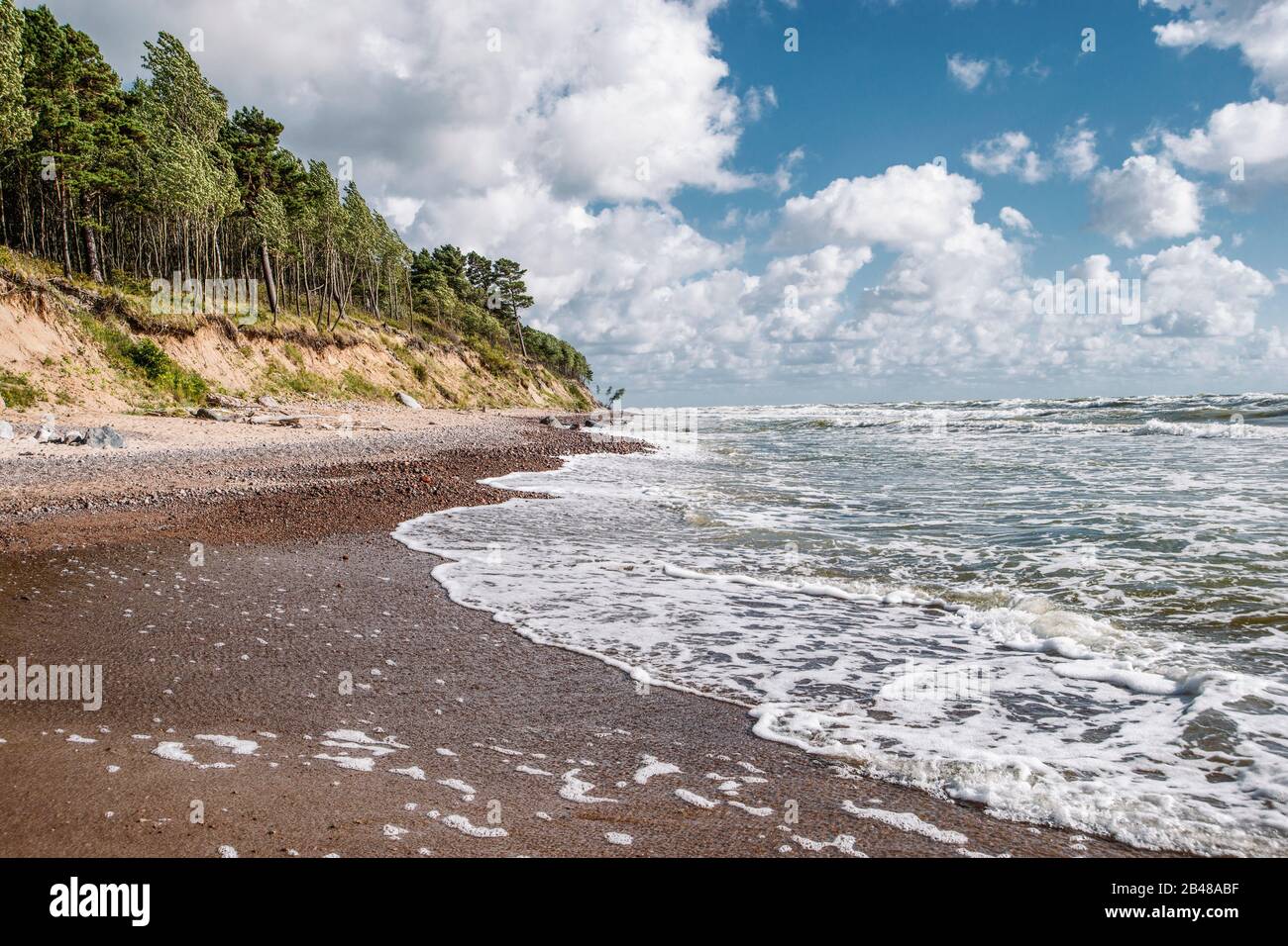 Coste bianche del Mar Baltico tempestoso in Lituania Foto Stock