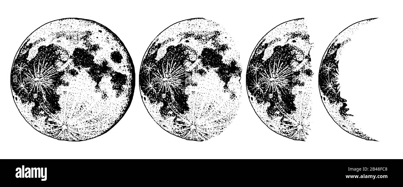 Fasi lunari pianeti in sistema solare. Astrologia o spazio di galassia astronomica. Orbita o cerchio. Mano incisa disegnata in vecchio schizzo, stile vintage per Illustrazione Vettoriale