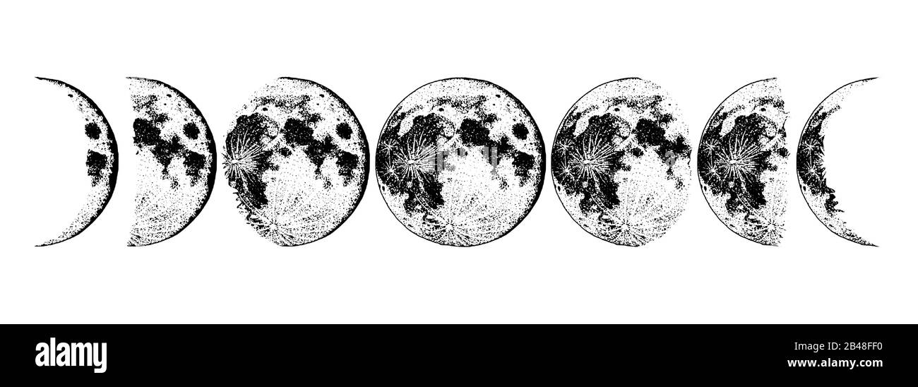 Fasi lunari pianeti in sistema solare. Astrologia o spazio di galassia astronomica. Orbita o cerchio. Mano incisa disegnata in vecchio schizzo, stile vintage per Illustrazione Vettoriale