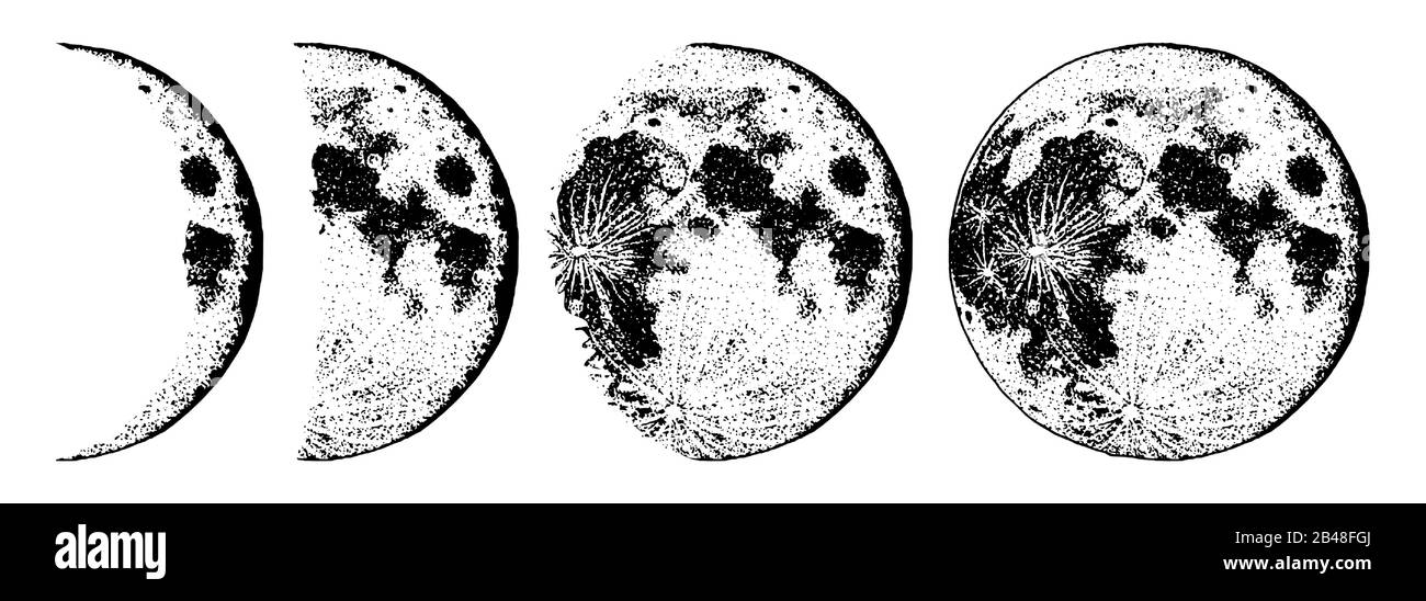 Fasi lunari pianeti in sistema solare. Astrologia o spazio di galassia astronomica. Orbita o cerchio. Mano incisa disegnata in vecchio schizzo, stile vintage per Illustrazione Vettoriale