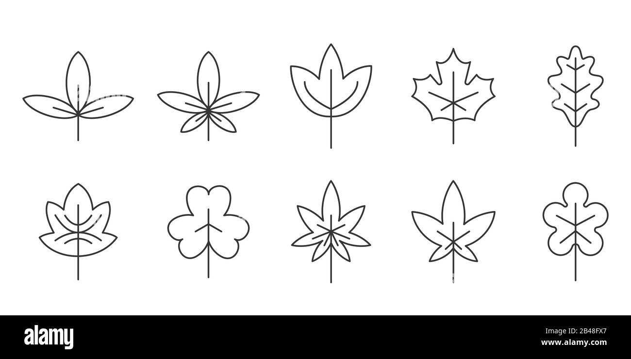 Icone lamine lineari. Set di Foglie in linea sottile. Foglie di contorno isolate. Illustrazione del vettore. Illustrazione Vettoriale
